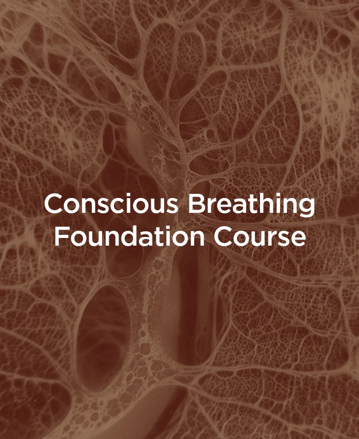 Conscious Breathing Foundation Course
